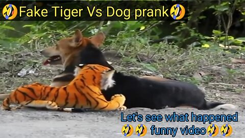 🤣Fake Tiger Vs Dog prank 😍🙊🐕Part -1
