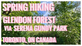 Glendon Forest via Serena Gundy Park | Toronto, ON 🇨🇦| Hiking | Relive Hiking | Spring Nature | 4K