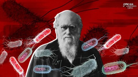 What is the best Darwinian objection to irreducible complexity?