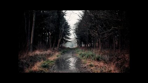 Rain on a puddle at a lonely gravel path in the forest