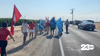 United Farm Workers march for union voting rights