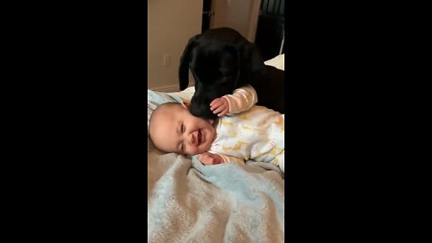 Adorable Babies Playing With Funny Dogs - Funny Babies Compilation 2022 #shorts