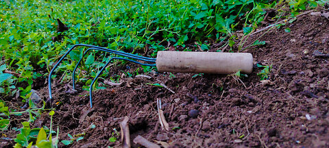 Home made agriculture tools for garden