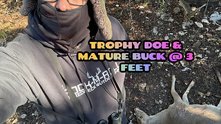 TROPHY DOE/Mature Whitetail BUCK at 3 FEET/Cooking WILD GAME #hunting