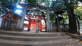 Toyosaka Inari Shrine, 800 years old, near Shibuya Station