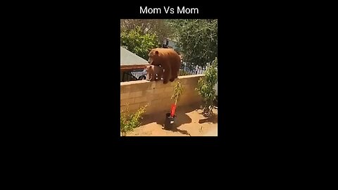 Don't mess with mothers