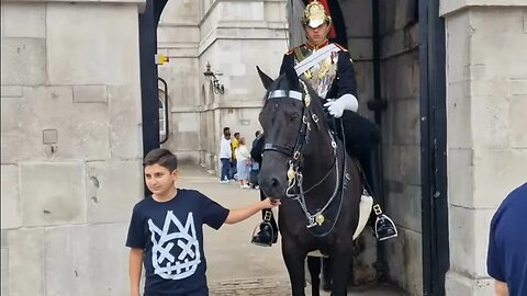 Kid grabbs the reins #horseguardsparade