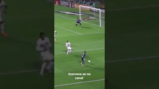 Danilo e Dudu tbm fizeram gols inusitado #palmeiras #palmeirasnoticias #verdão #alviverde#el verdão