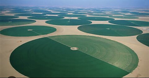 Saudi Green Land