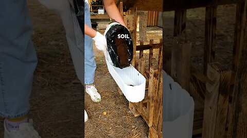 How to build a cozy home for your dog out of pallets! 🐕