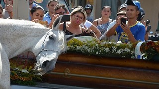 Horse cries when say godbye to his deceased human in tragic accident