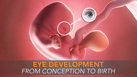 Baby Eye Development