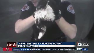 New Mexico officers save choking puppy