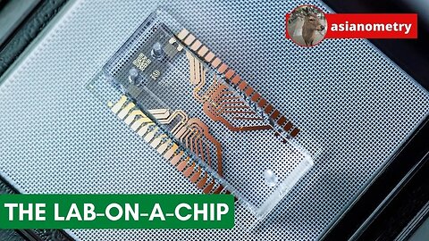 Microfluidics and the Elusive Lab-on-a-Chip