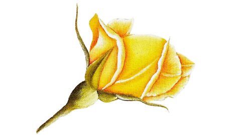 Como pintar Flor 🌼 Amarela Dani Pintura em Tecido