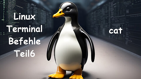 Linux Terminal Kurs Teil 6 - cat