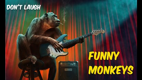 Don't Laugh - Funniest monkeys