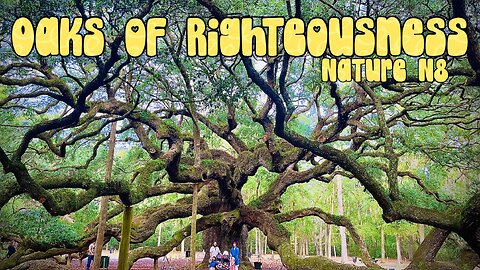 Oaks of Righteousness (Nature Nate)