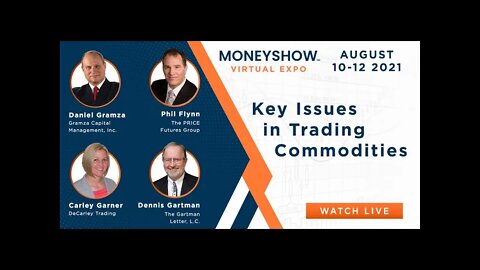 Key Issues in Trading Commodities | Dennis Gartman, Daniel Gramza, Carley Garner, Phil Flynn