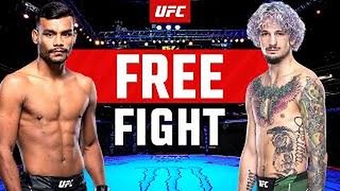 Sean -O melley Vs Petr Yan free fight UFC 292