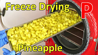 Freeze Drying Fresh Pineapple