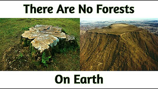 There Are No Forests On Earth | Ancient Trees | Flat Earth