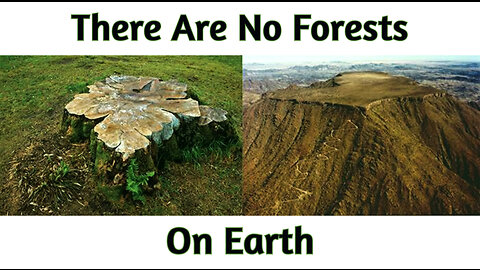 There Are No Forests On Earth | Ancient Trees | Flat Earth