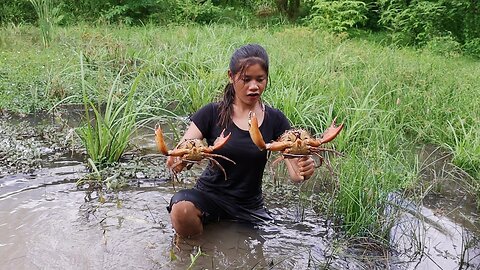Wow Big crabs ! Catching and Cooking for jungle food, Eating Crabs Delicious
