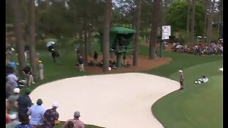 Fans Dive For Safety As Huge Tree Falls During The Masters