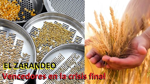 Dilo al Mundo | El Zarandeo - Vencedores en la crisis final