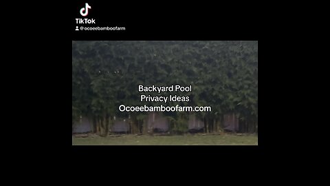 Backyard Ideas For Privacy - Pool - Patio - Screen Room - windows - Shade