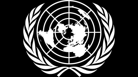 United Nations Global Compact for White Erasure
