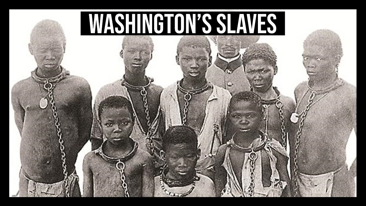 THIS is what George Washington Should Have Done with his Slaves THIS is what George Washington Should Have Done with his Slaves