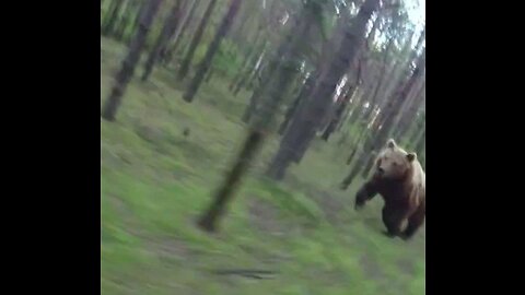 A breathtaking scene of a bear attacking 😱😱a man in the woods while he was on his bike😨😨❌️❌️