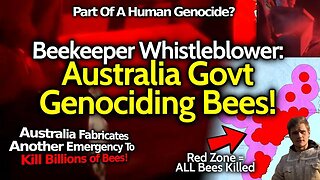 Murder by Policy: Killing the Bees, April 2023, Australia