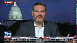 Cruz on Fox: It is Shameful How Much the Media & Big Tech Are Protecting & Covering Up for Joe Biden