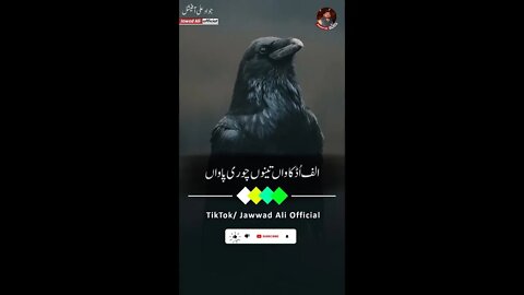Alif Ud Kanwan Tenu Churi Pawaan - Punjabi Poetry Whatsapp Status - Sad Saraiki Shero Shayari Dohray