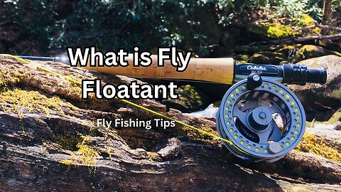 What is Fly Floatant?