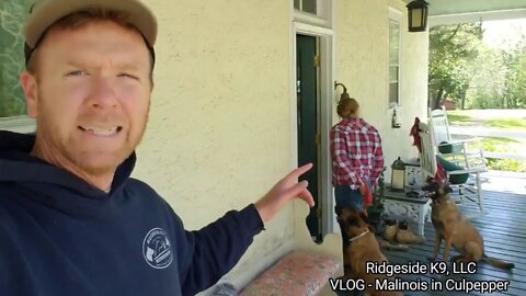 VLOG - Delivering a Malinois To His New Forever Home. Ridgeside K9, LLC.