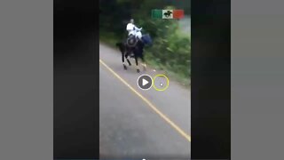 Sliding A Horse On The Road - Bad Hoof Trimming - This Is Dangerous For Horse