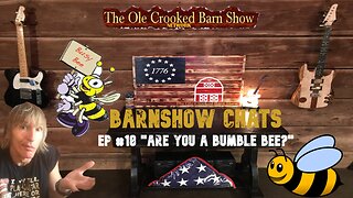 Barn Show Chats Ep #18 “Are You a Bumble Bee?”
