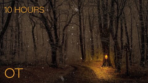 BUNDLE UP FOR YOUR JOURNEY | Snowy Night on a Mystical Forest Path | Wind & Blowing Snow | 10 HOURS