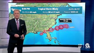 Tropical Storm Mindy forms in Gulf of Mexico with 40 mph winds