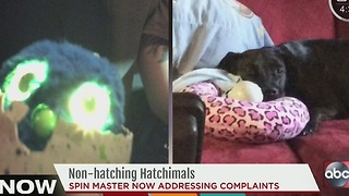 Defective Hatchimals leave kids, parents upset