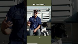 A Must Have Before You Take Young Dogs Hunting - Recall