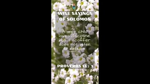Proverbs 13:1 | Wise Sayings of Solomon