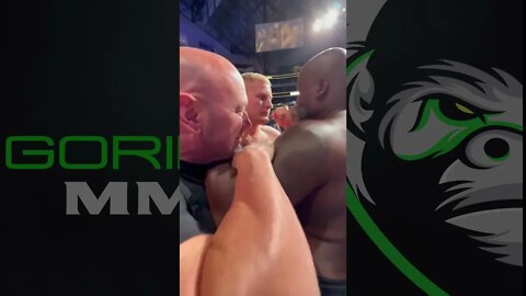 Derrick Lewis vs Sergei Pavlovich: UFC 277 Face-off