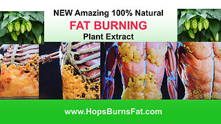 NEW Fat Burning Extract from Hops Plant Released!