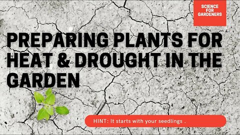 How To Prepare For Drought In The Garden. The Best Methods To Reduce Water Usage In The Garden