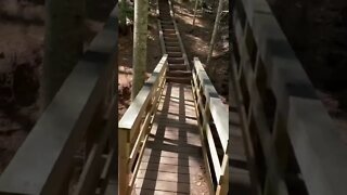 Walking on a bridge above water